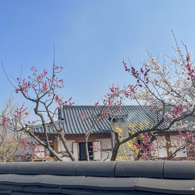 숙박까지 가능한 공주 여행 필수코스! 