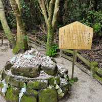 青島