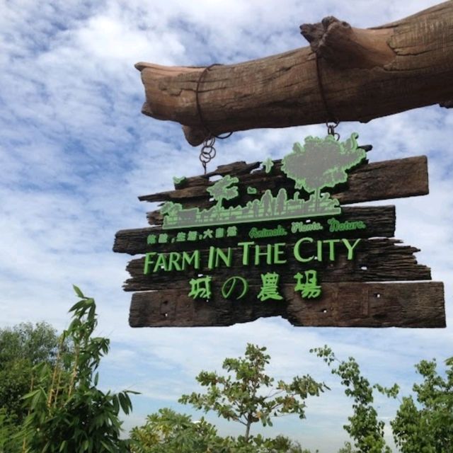 PETTING ZOO IN KLANG VALLEY