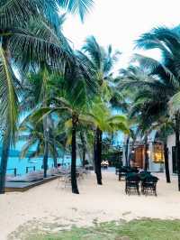 • CELES SAMUI🏝️ 🗺️