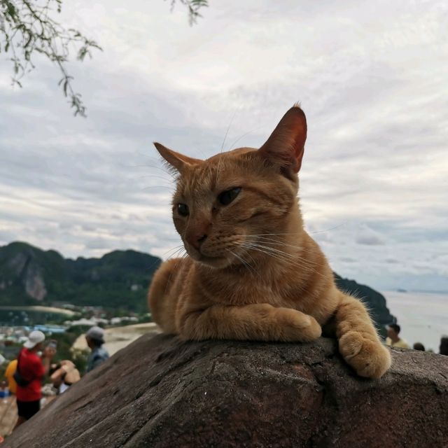 เกาะพีพี