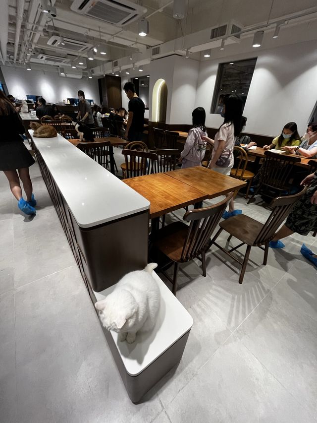 旺角新店地方好寬敞呀~ 旺角新店地方好寬敞呀~