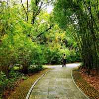 深圳灣公園•紅樹林區