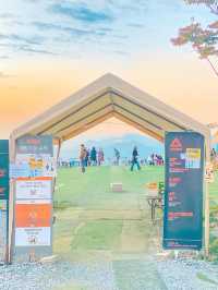 단양 대표 카페 ‘카페 산’