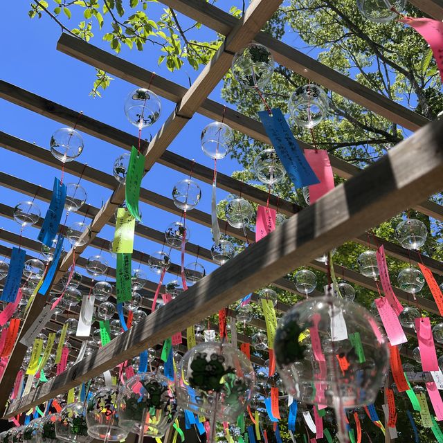 ~福岡 如意輪寺 かえる寺~夏の風物詩🎐