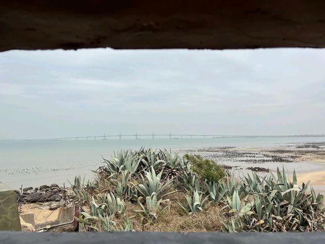 金門-需要走過海才能到的|建功嶼|（海面美景一覽無遺）