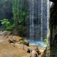Mandai's Hidden Gem - The Gateway to Paradise