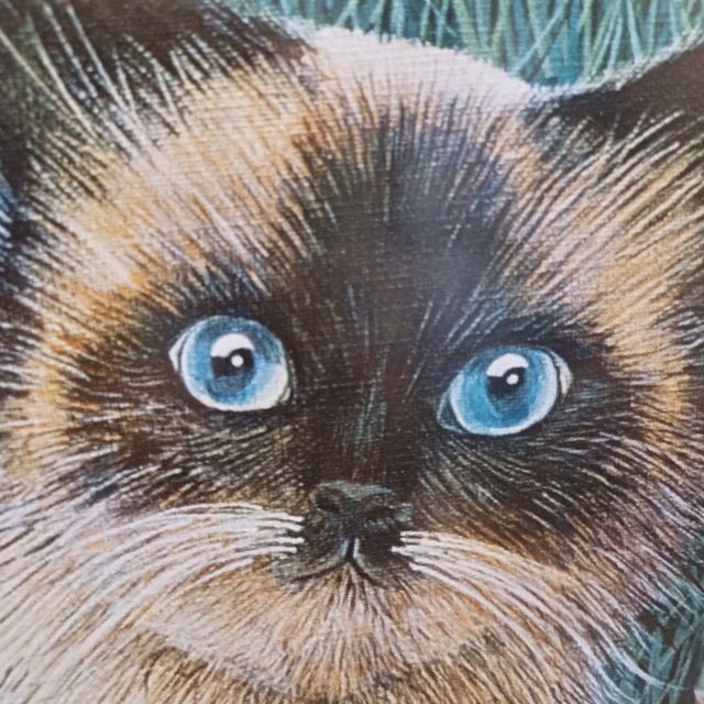  古晉貓博物館，貓奴的夢幻天堂！😺🏛️🐾