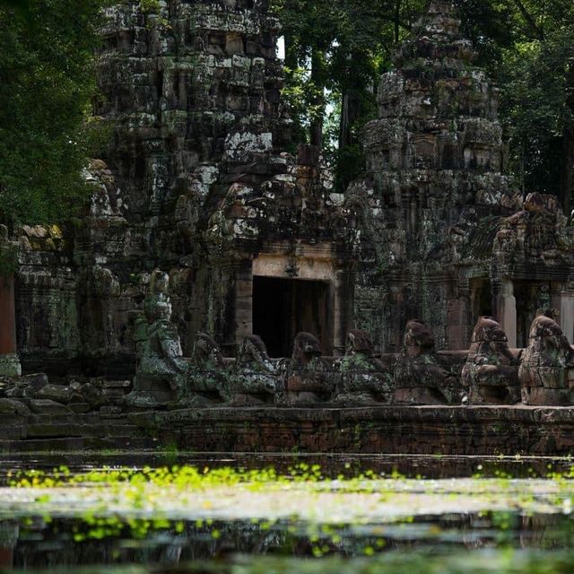 Great View of Preah Khan Temple in SR