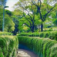 Fort Canning Park