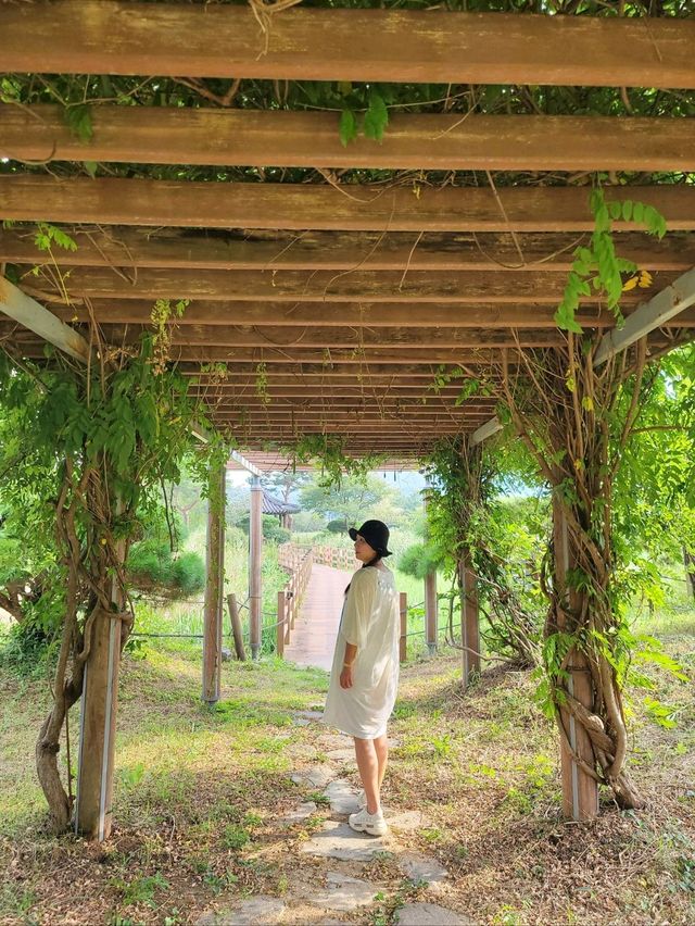 영광의 대표적인 여행지 불갑사 테마공원🌲