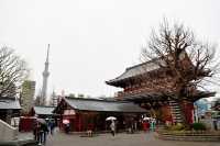 아사쿠사 센소지 浅草寺 구경하기