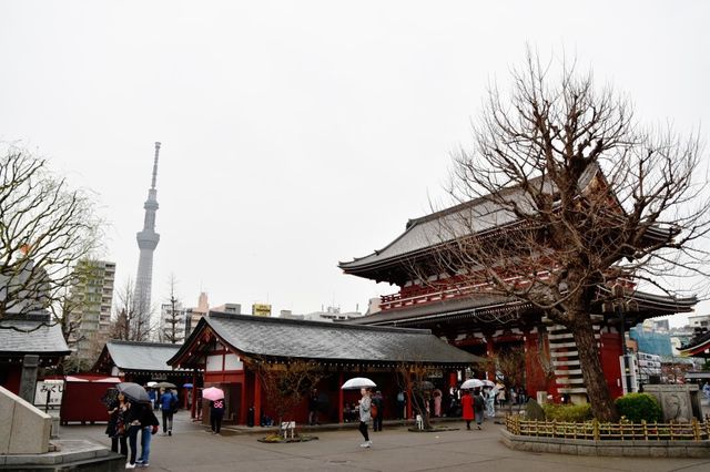 아사쿠사 센소지 浅草寺 구경하기