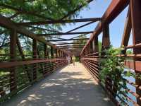 Lady Bird Lake Hike & Bike Trail 👣✨