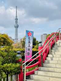 【東京都/亀戸天神社】亀戸天神菊まつり