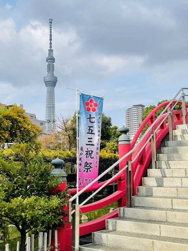 【東京都/亀戸天神社】亀戸天神菊まつり