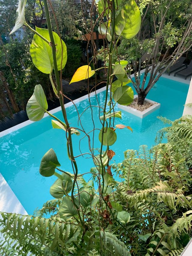 ย้อนเวลาไปพักโรงแรมสุดน่ารักที่เชียงใหม่