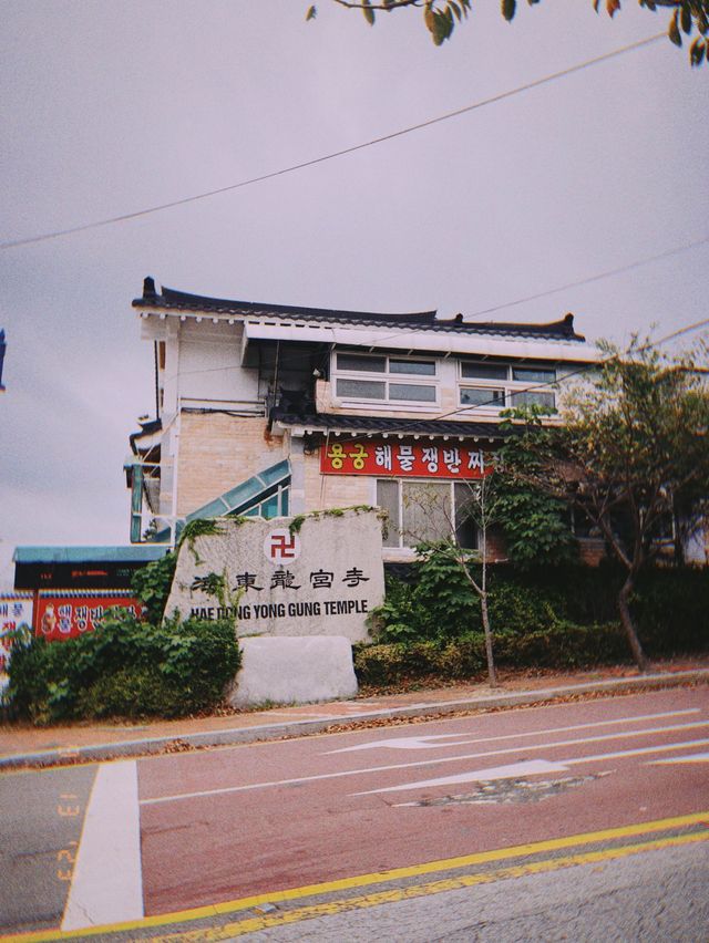🇰🇷釜山海東龍宮寺👣佇立在海邊的海東龍宮寺發起投錢幣挑戰！