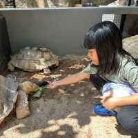 Best experience for reptiles lover!