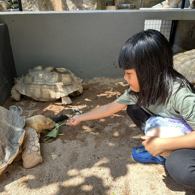 Best experience for reptiles lover!