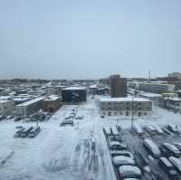Best western plus hotel fino chitose