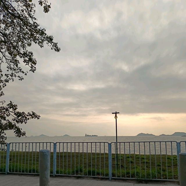 龍鼓灘，沿途棕櫚樹，很有海洋風味！