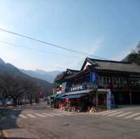 계룡산 동학사 상점가 수통골입구 팬션투어