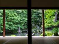 【京都市】静を感じて心洗う庭園🌿