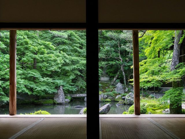 【京都市】静を感じて心洗う庭園🌿