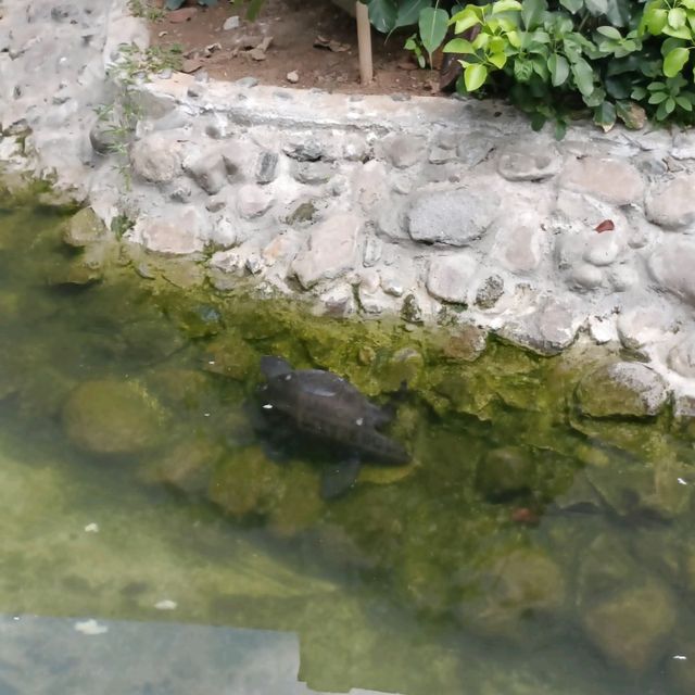 Manila Zoo