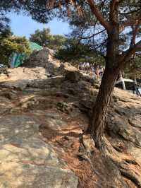 초보도 충분히 등산할 수 있는 서울 근교 광교산 형제봉 코스 ⛰️