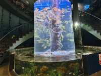 ท่องเที่ยวกับโลกใต้ท้องทะเล Underwater World ญาจาง