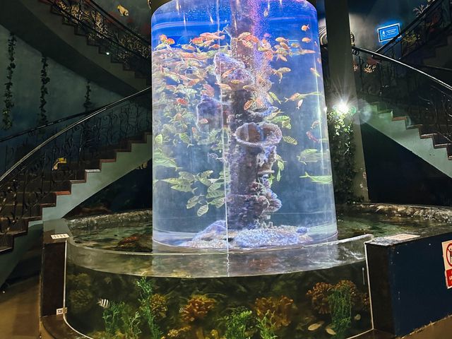 ท่องเที่ยวกับโลกใต้ท้องทะเล Underwater World ญาจาง