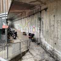 自家農田，香港僅餘的臨時房屋區