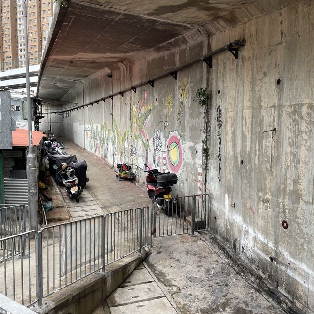 自家農田，香港僅餘的臨時房屋區