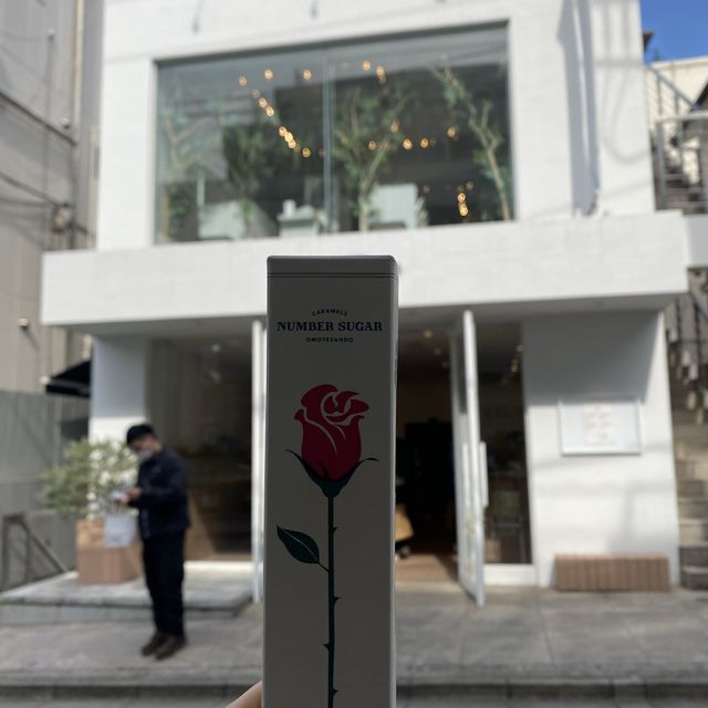 [일본 도쿄 여행] 아기자기 귀여운거? 당장 가자 “도쿄”로🇯🇵