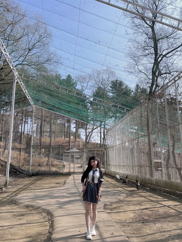 홍천 1박 2일 여행 ‘까미노데플로레스타‘&알파카월드&달구새끼