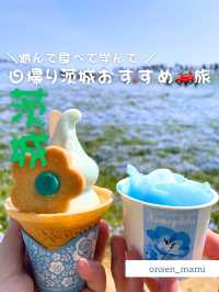 【茨城】車🚗で行く、おすすめの日帰り茨城旅👣