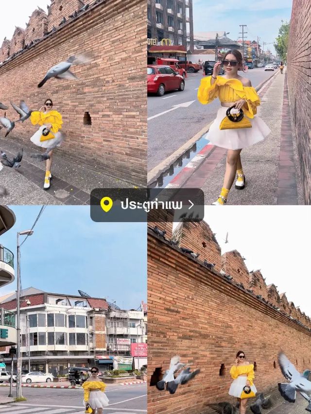 ✨ แจกพิกัด 9 โลเด็ด ถ่ายรูปปังในเชียงใหม่ 📸