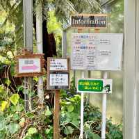 温室たくさん！雨の日でも安心