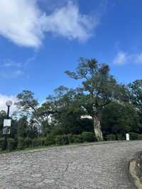 Easy Hike in Shatin - Tao Fung Shan