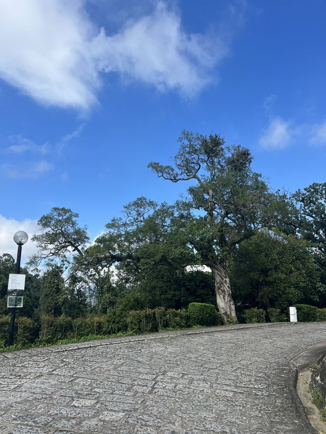 Easy Hike in Shatin - Tao Fung Shan