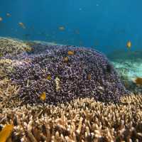 Serene Lombok and Party scenes at Gili