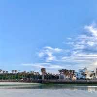 야자수가 드리운 얕은 해변 금능해수욕장🌴🌊