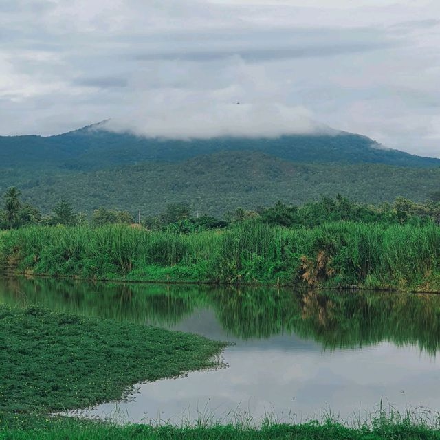 ที่พักท่ามกลางธรรมชาติ​