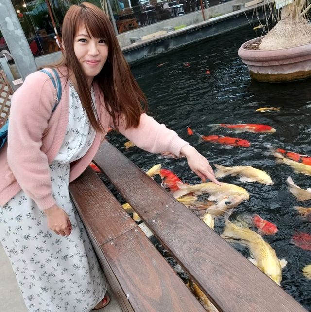 礁溪金車蘭花公園｜與動植物近距離親近🧡慵懶水豚君、愛抓癢大嘴鳥