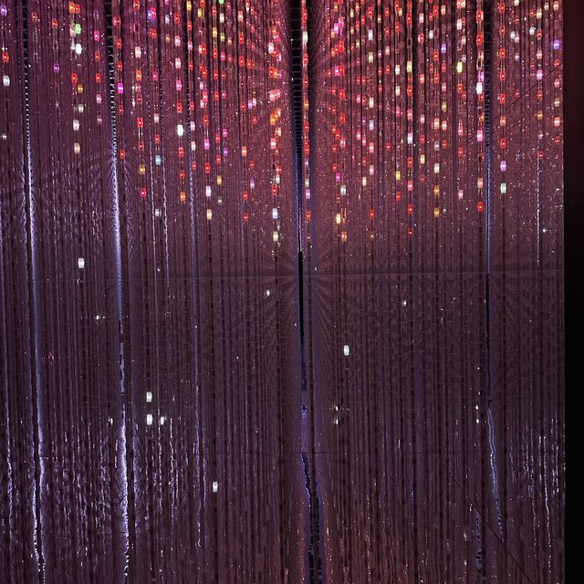 teamLab 新加坡 - 來自日本的藝術體驗