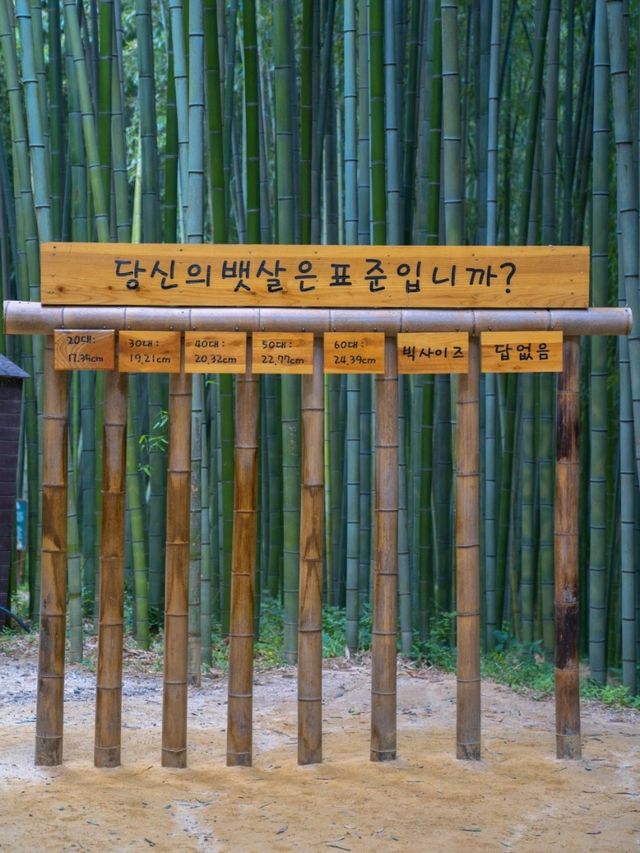 올 여름 죽녹원가야하는이유:)