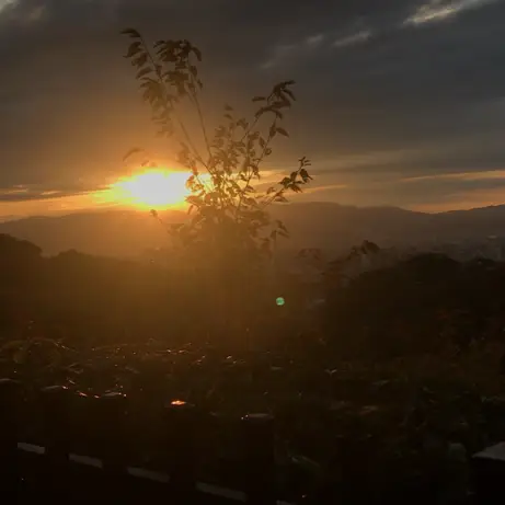 👭日本🇯🇵京都·清水寺·黃昏日落🌅