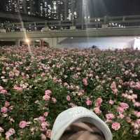 백만송이의 장미를 볼 수 있는 곳 “서울장미길”🥀